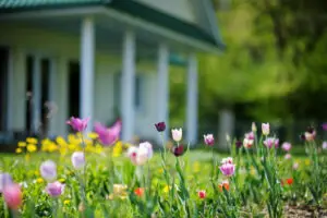 a field of flowers in front of a house